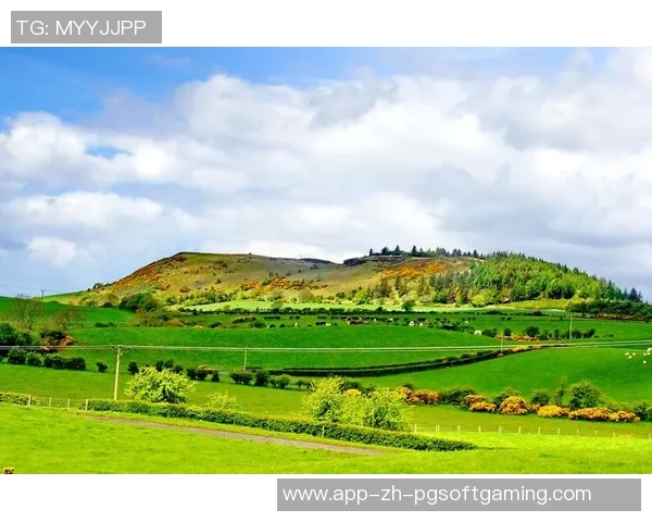 爱尔兰精灵大奖视频pg电子-一、爱尔兰精灵与电子融合的背景及其发展历程概述-爱尔兰精灵大奖视频pg电子